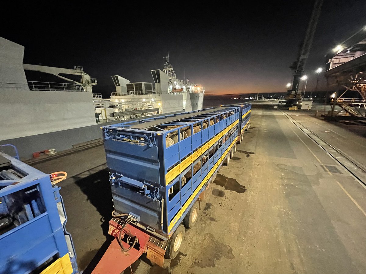 NT Livestock Exporters tweet media