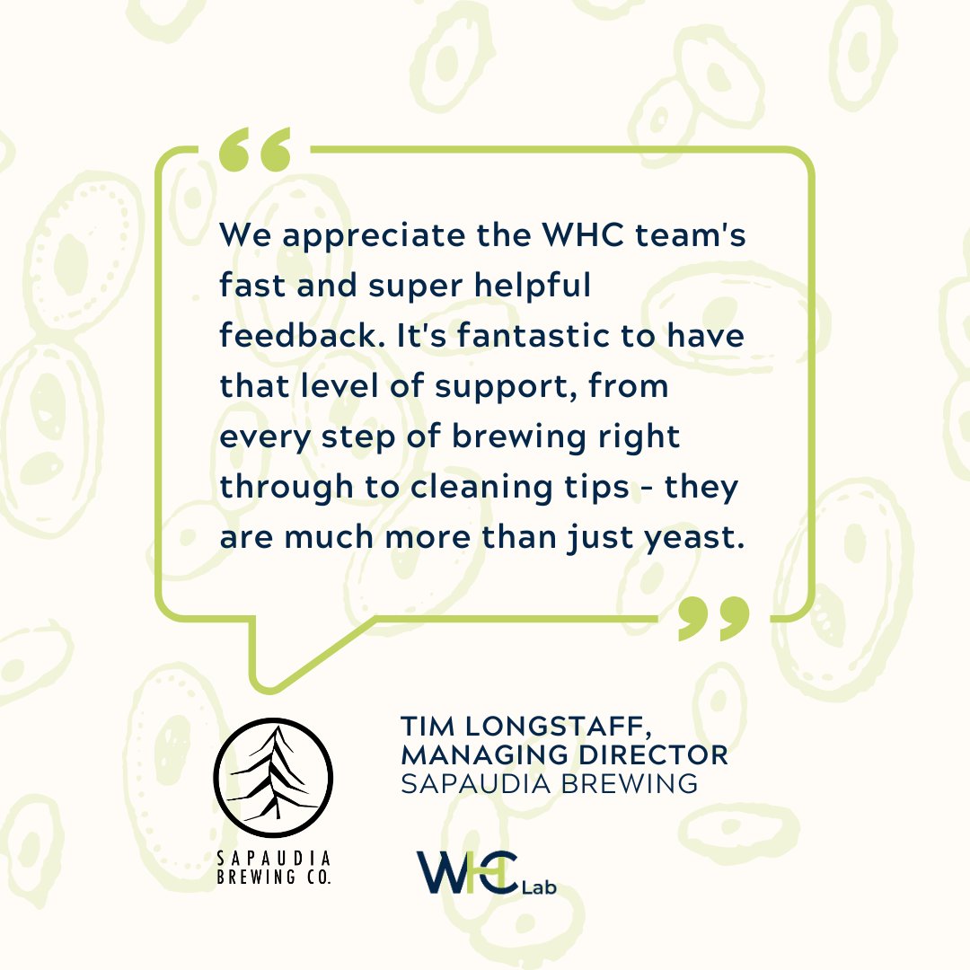 Thanks to Tim at Sapaudia for this feedback!🤩

Based in the heart of the French Alps, Sapaudia Brewing distributes their fantastic beer locally to Tarentaise Valley. We were more than happy to support them in brewing and give recommendations to help improve their processes.