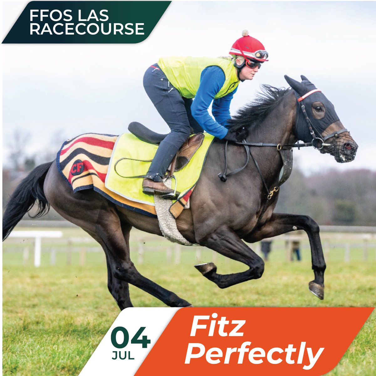OldGoldRacing's tweet photo. Fitz Perfectly has been declared to run on the 4th July in the 20:00 Turf Services Fillies' Handicap over 1m2f @FfosLasRC
@KShoemark will be doing the steering for Owners and @FellowesRacing . ππ½ββοΈ
*
*
*
#offracing #onetowatch #fitzdares #ownapieceoftheaction #getyourheartracing #oldgoldracing