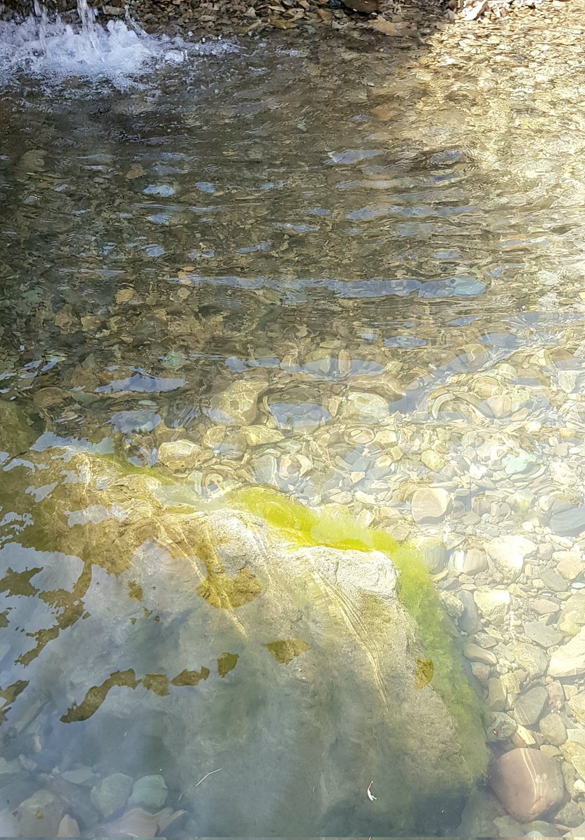 PattraMarya's tweet photo. #Great #Morning ๐คฉ
I started with
Small #Waterfall ,polished #stones and green moss
I #hope it happens to you ๐
#photonft #nftseconds #NFTs #photography #photo #internationalnft #nature https://t.co/U1BBsthUIO