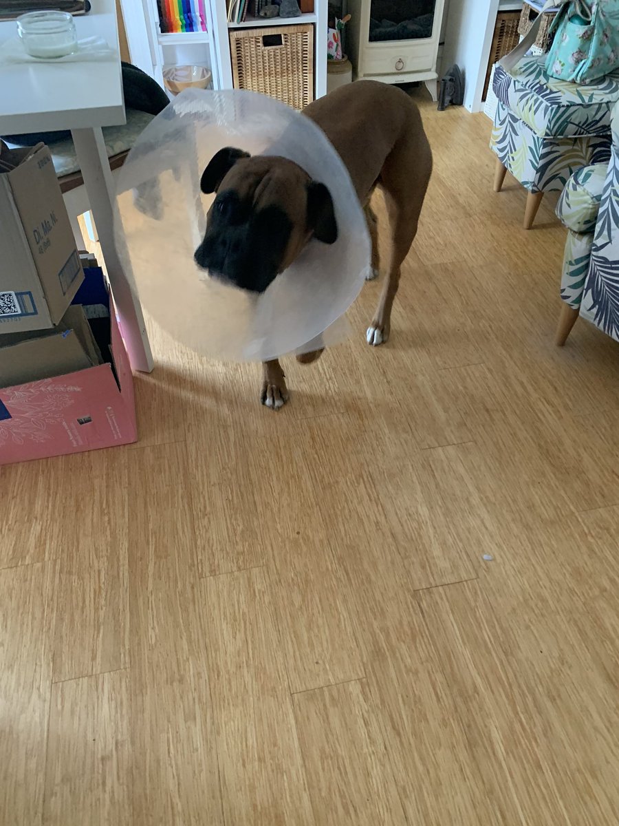 Kay Tart 🌈 🇺🇦 tweet media