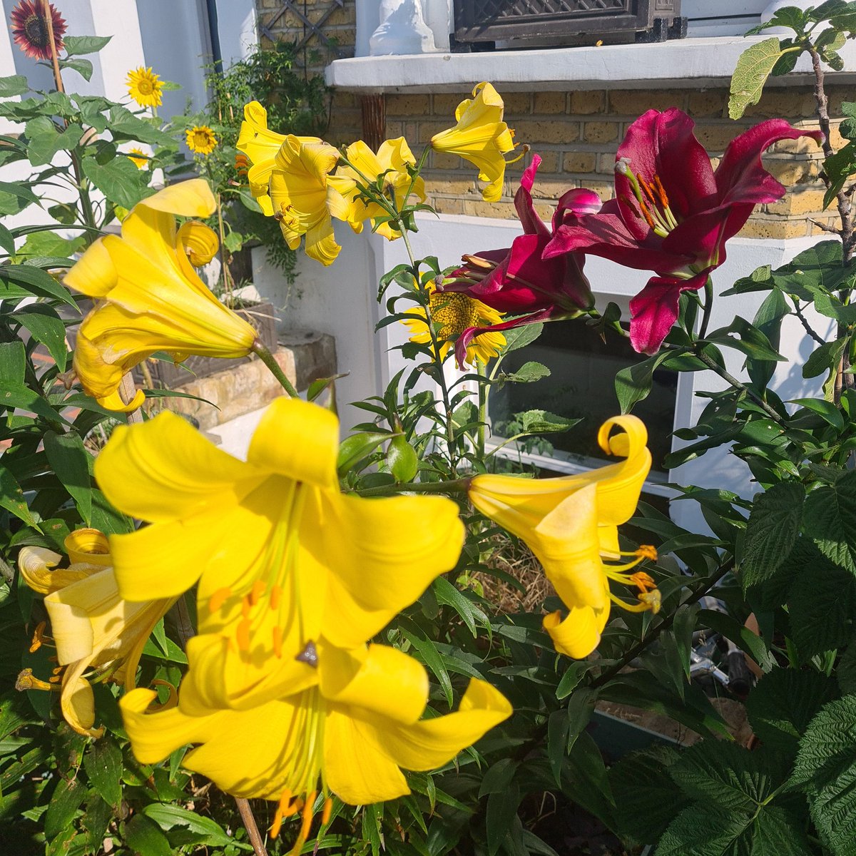 Mike Harris tweet media