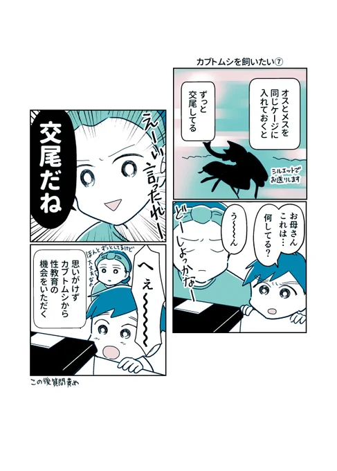 まさかの性教育チャンス!
#カブトムシを飼いたい ⑦
#コミックエッセイ 