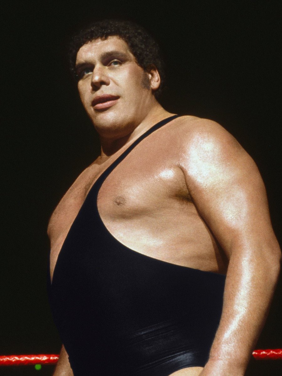 SuperWrestlng's tweet photo. كيفن ناش || لو واجهت اندري ذا جاينت فكل ضربة منه سأتلقاها لمدة 15 دقيقة. https://t.co/M32hKTDSRZ