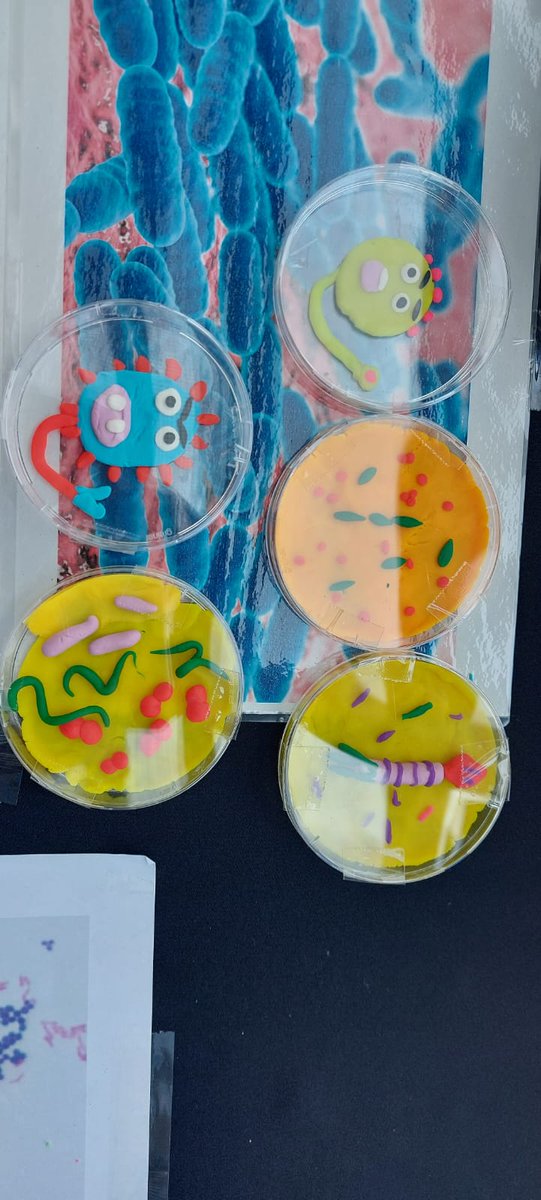 SHIPGCU's tweet photo. Yesterday we joined colleagues from @GCU_BIO at the @BritPharmSoc #ScienceSafari to deliver #HandHygiene and “make your own bug” activities. Thanks to @GCUEngagement, @gsc1 and all colleagues &amp; visitors for a great day. It’s been a blast! https://t.co/T7XBhGVLKH