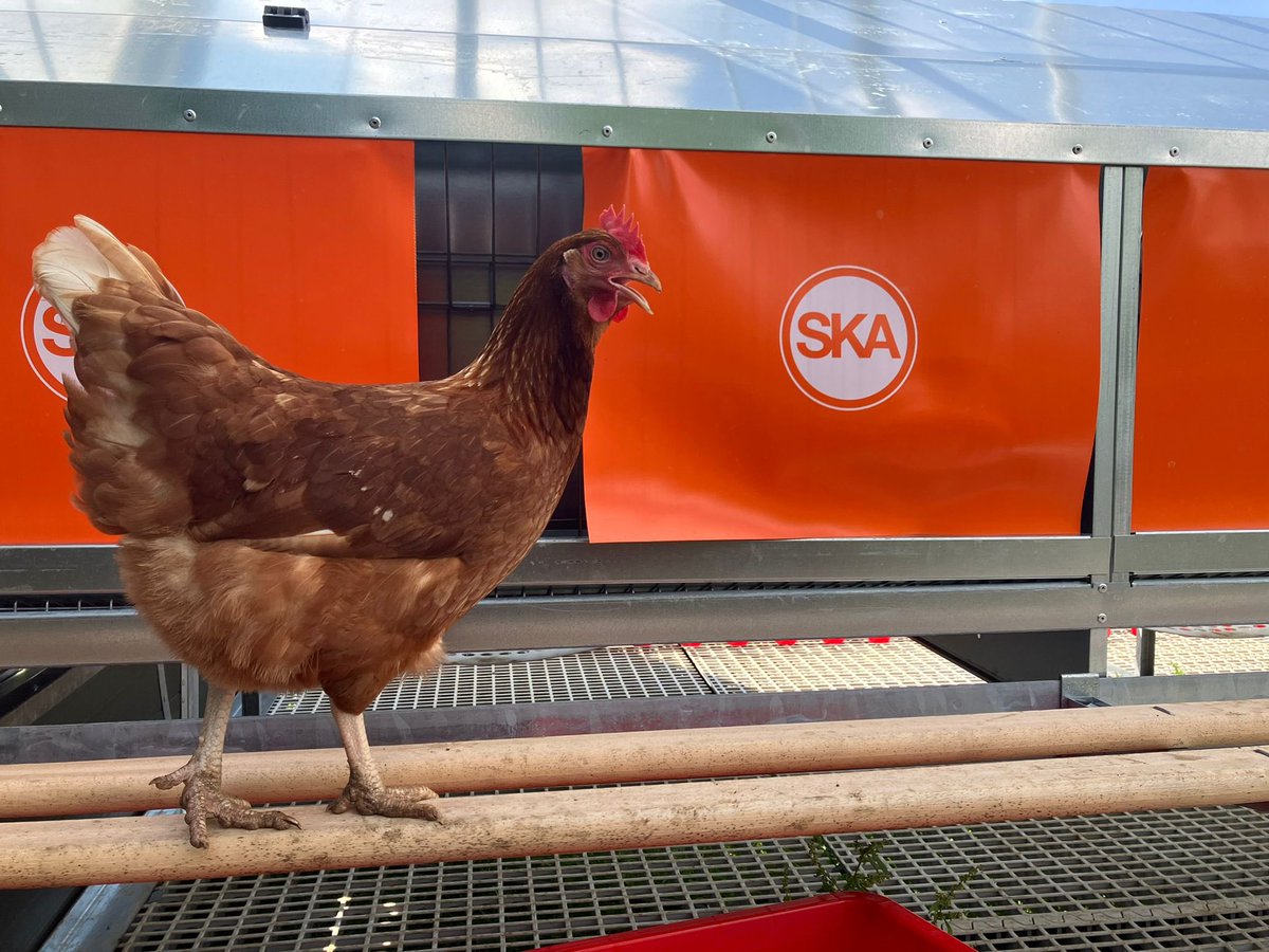 LA Systems tweet media