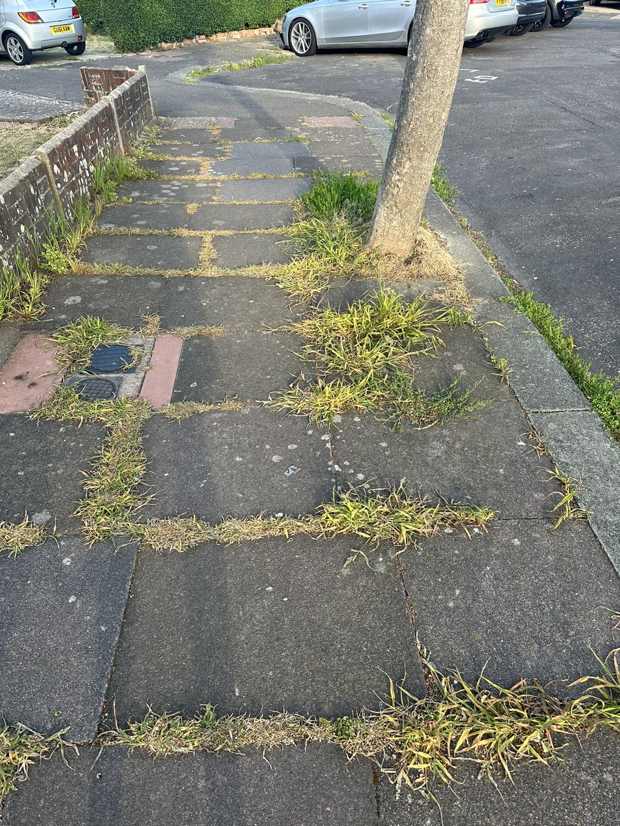 ancamotorgroup's tweet photo. @WSCCNews @adurandworthing 
Question…. When is Worthing Borough Council going to start taking care of the pavements around Worthing again? Covered in weeds! 
Picture shows Rose Walk Goring. https://t.co/8wWTAHLrYW