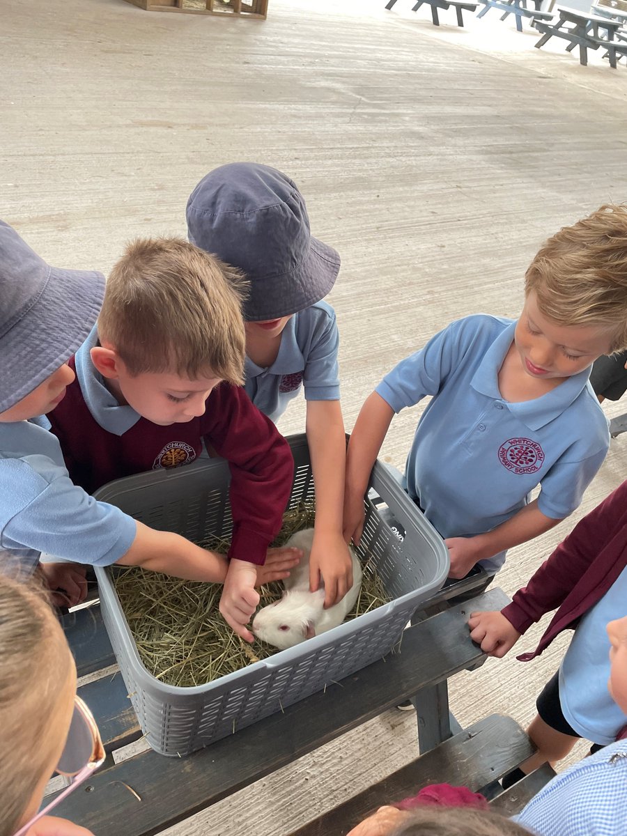 whitchurchprm's tweet image. RSH enjoyed meeting the animals at Cefn Mably Farm Park.  #WPSRec