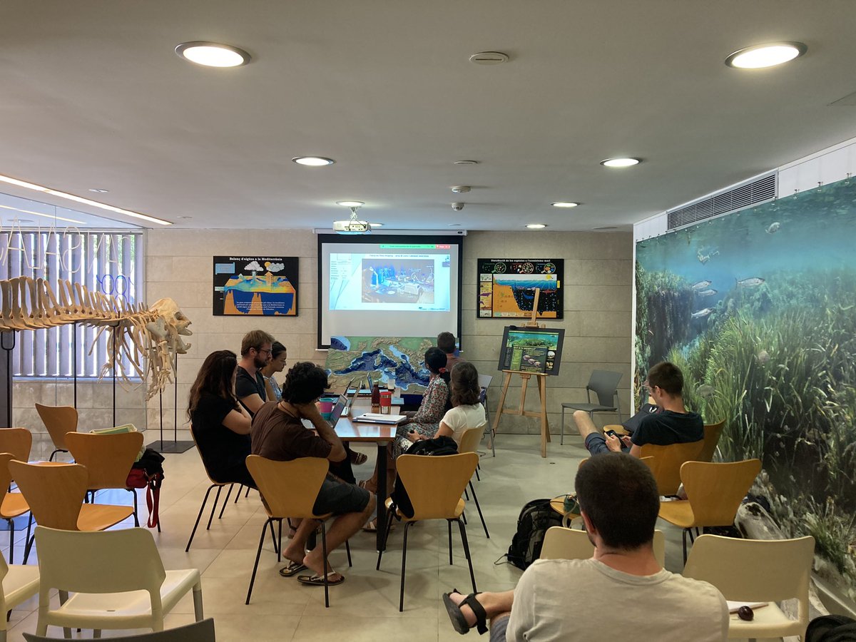 BlueRevolutionProject tweet media