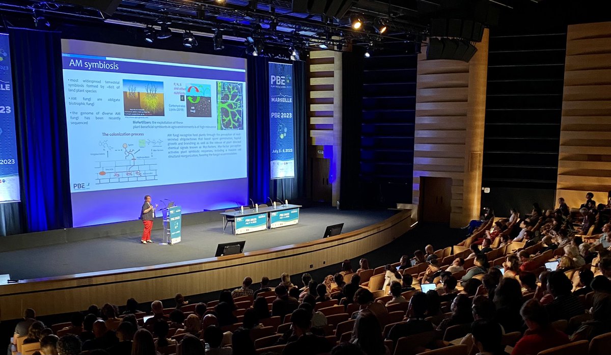 Raffaella Balestrini gives the second keynote about root symbionts