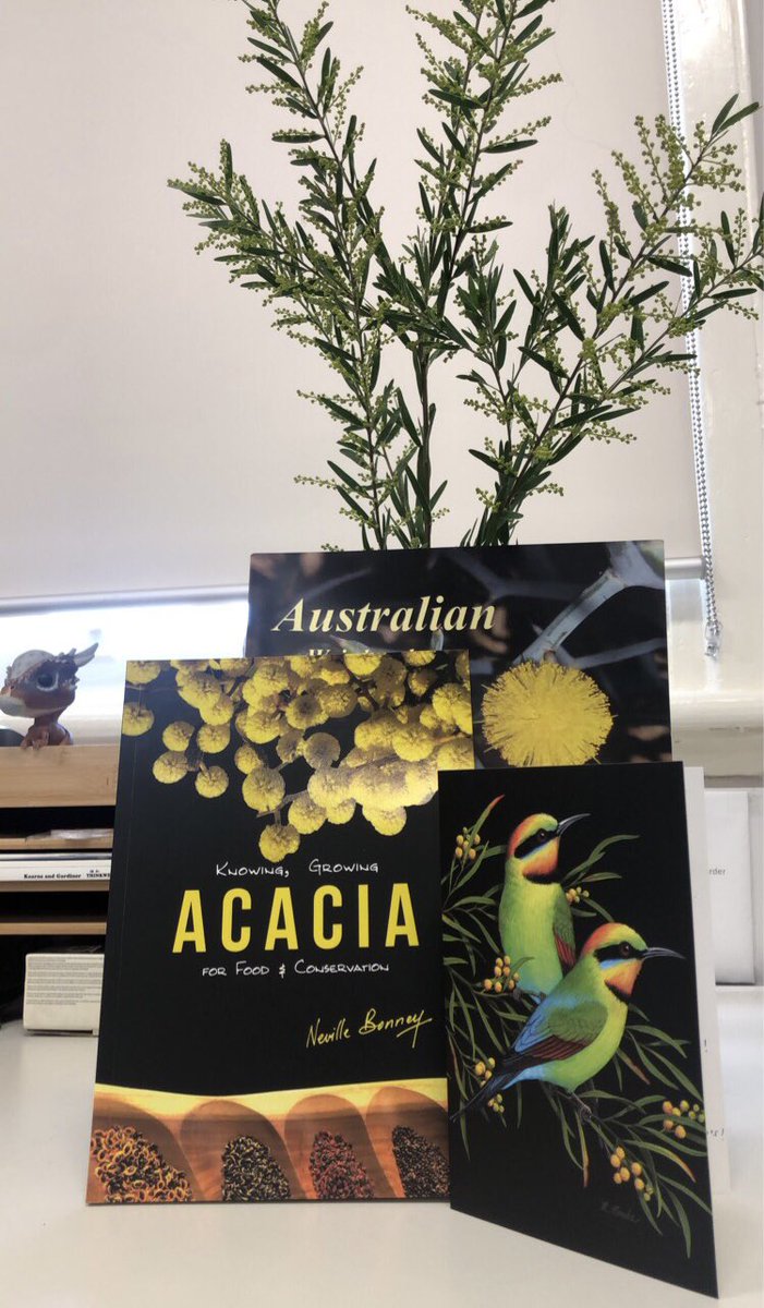 Katie Rolls tweet media