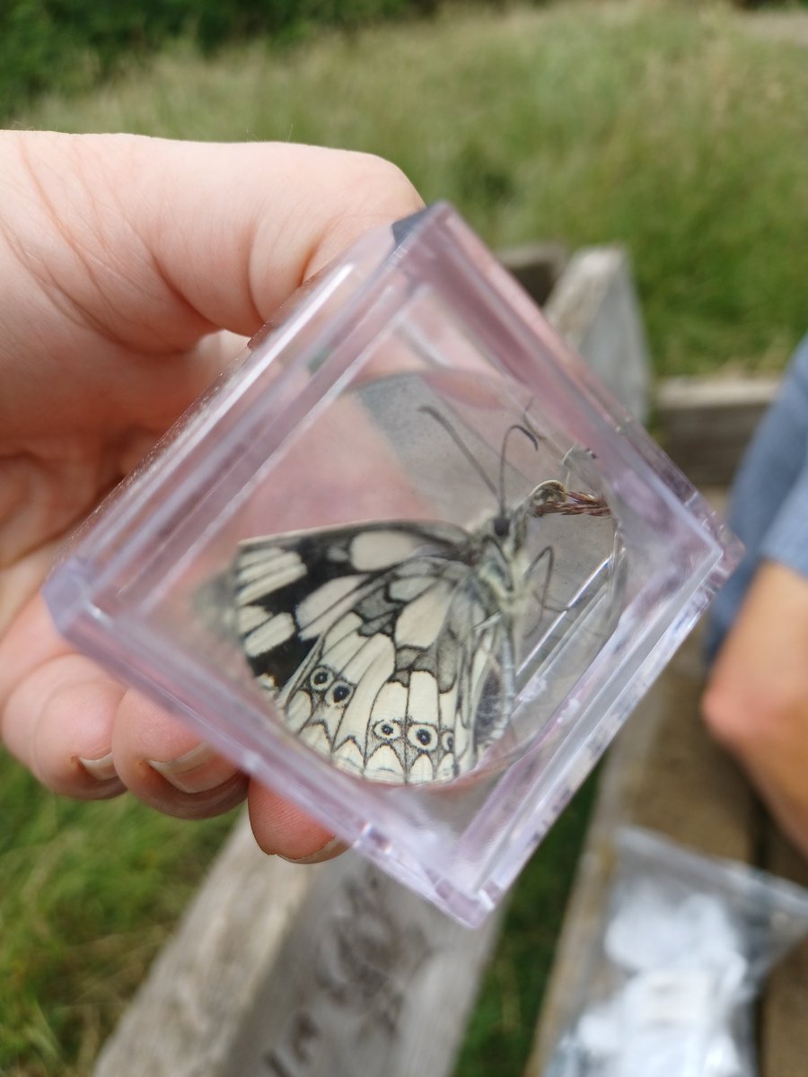 Brixworth & Brampton Country Parks tweet media