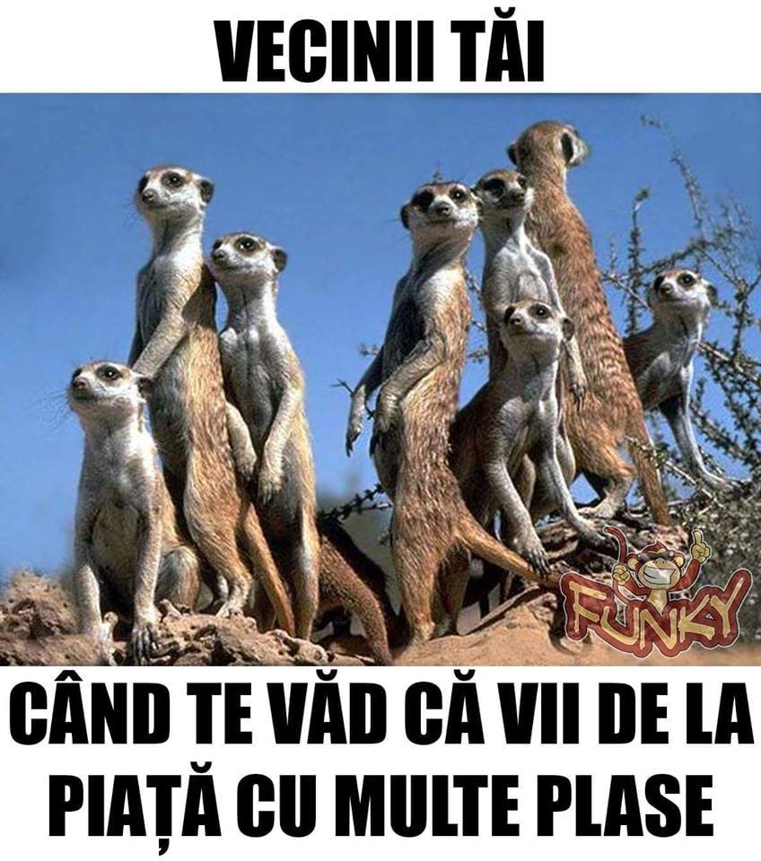 Cristian Milla (@cristimilla1) on Twitter photo 