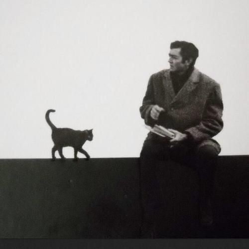 Enesl1940's tweet photo. God damn it, they're telling lies I know again! https://t.co/2QG8LkwhaO