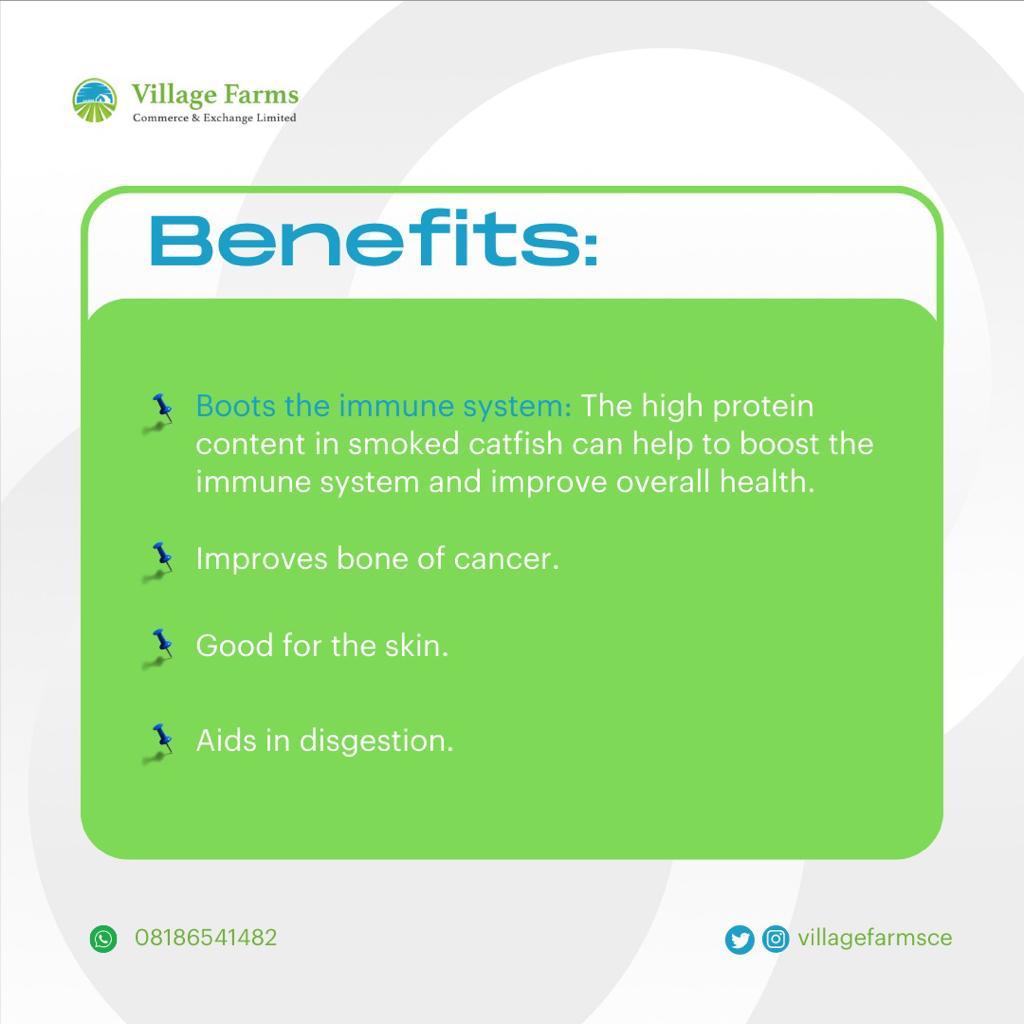 VillageFarmsCE's tweet image. Todays Superstar is Catfish and we will learn about its benefits and some of the meals you can cook with it!!! 🥳

Order our smoked catfish today.

Cutlet - 3,000 
Full smoked catfish - 3,500

#Smokedcatfish #Driedfish #Catfish #VillageFarms