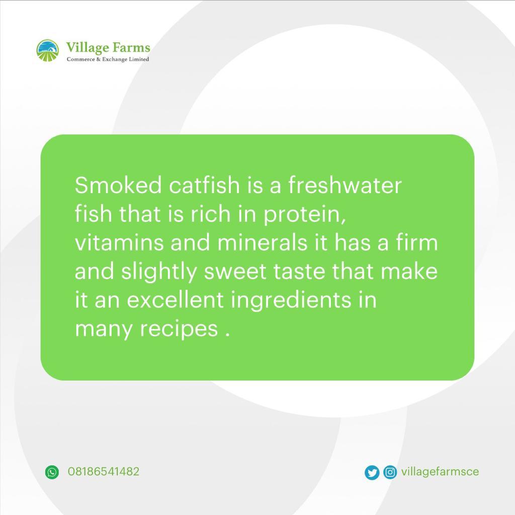 VillageFarmsCE's tweet image. Todays Superstar is Catfish and we will learn about its benefits and some of the meals you can cook with it!!! 🥳

Order our smoked catfish today.

Cutlet - 3,000 
Full smoked catfish - 3,500

#Smokedcatfish #Driedfish #Catfish #VillageFarms