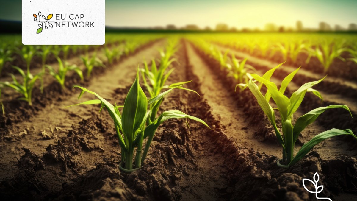 ⁉️ How can #farmers optimise their fertiliser use and reduce their dependencies, while securing yields?

📖 Read this #EU communication to learn more: bit.ly/44xdqs9