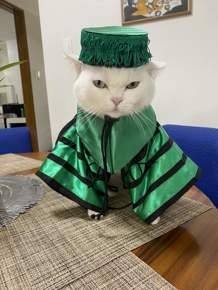 Life update: this very hiatus artist is finally graduating on Wednesday 💫

And of course, we couldnt forget this catto (the star in all my food art), who has been with me throughout this med journey