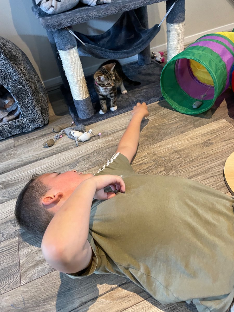 dean_mummy's tweet photo. Had a lovely day yesterday feeding the ducks and seeing nanny, shocked us all playing with the kittens! Usually won’t let any animal near let alone play with them and have them on him!what’s normal to most is a big thing for us ☺️so proud of you @class2bws @school_ws https://t.co/jJnJmnEcZP