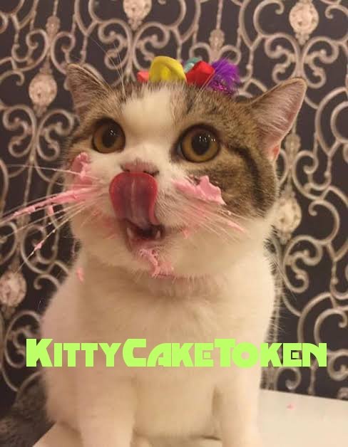 GavinMaddo6's tweet photo. @AltGemHunter Gm mate!
Here's the best GEM to not miss #kittycake @kittycaketoken $Kcake https://t.co/zUKZrDkkDk
