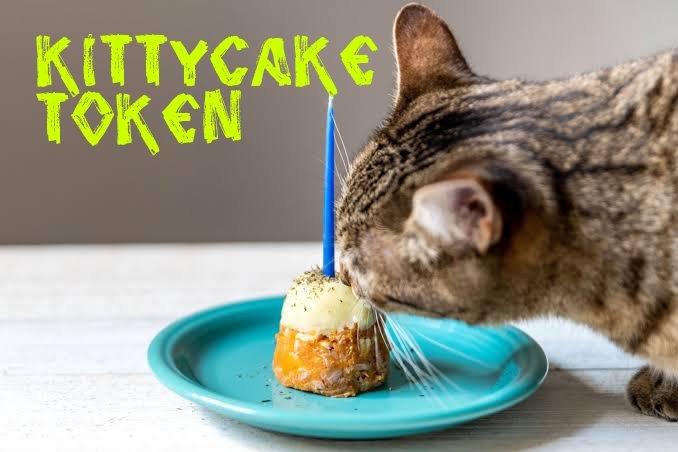 GavinMaddo6's tweet photo. @JakeGagain I'm buying more #kittycake @kittycaketoken $KCAKE
IT'S CAT SEASON https://t.co/tiUsLTESpF
