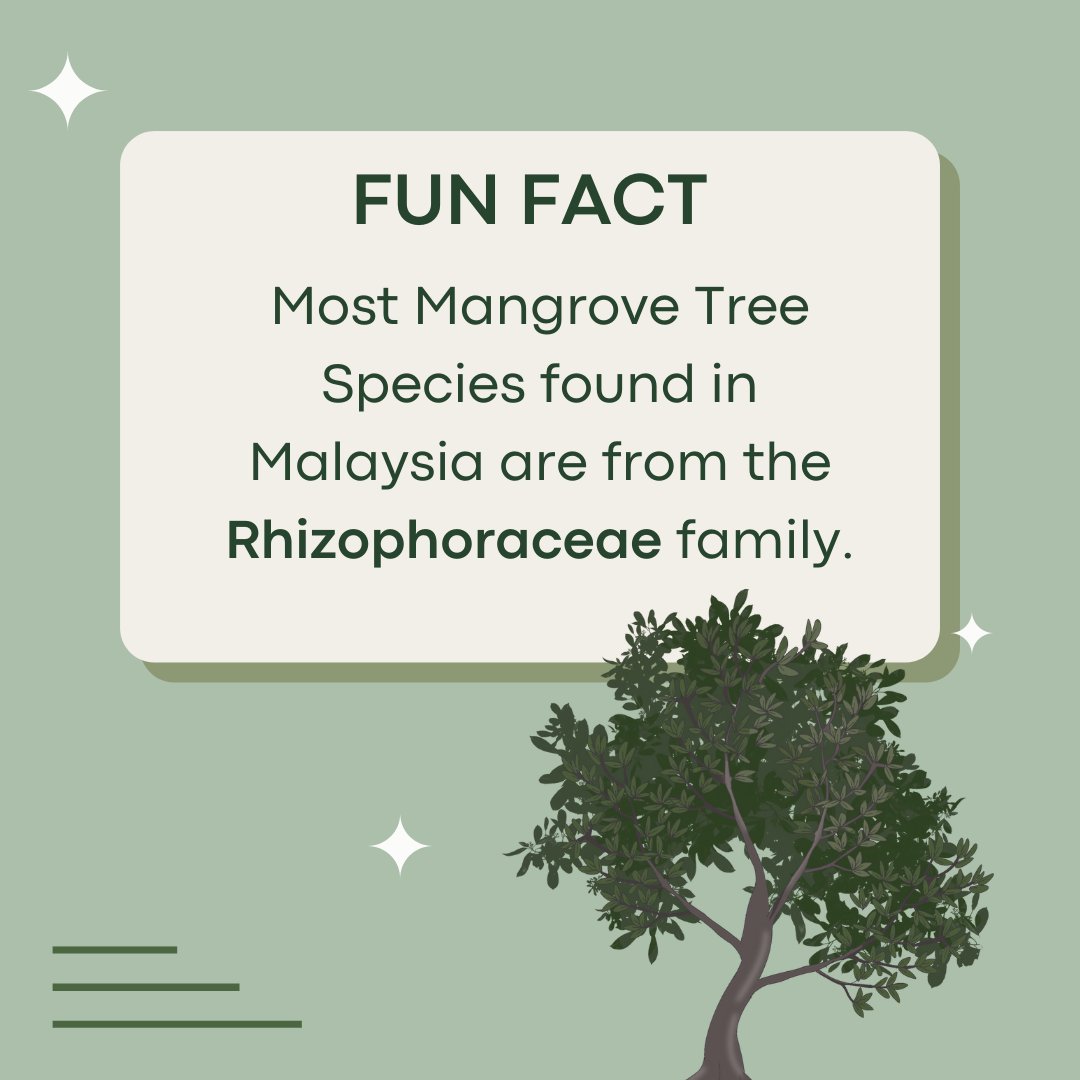 Wetlands International MY tweet media