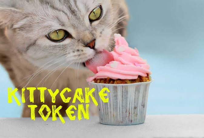 GavinMaddo6's tweet photo. @cryptoworld202 #kittycake @kittycaketoken $KCAKE will go Parabolic https://t.co/79PZ7z2tkD