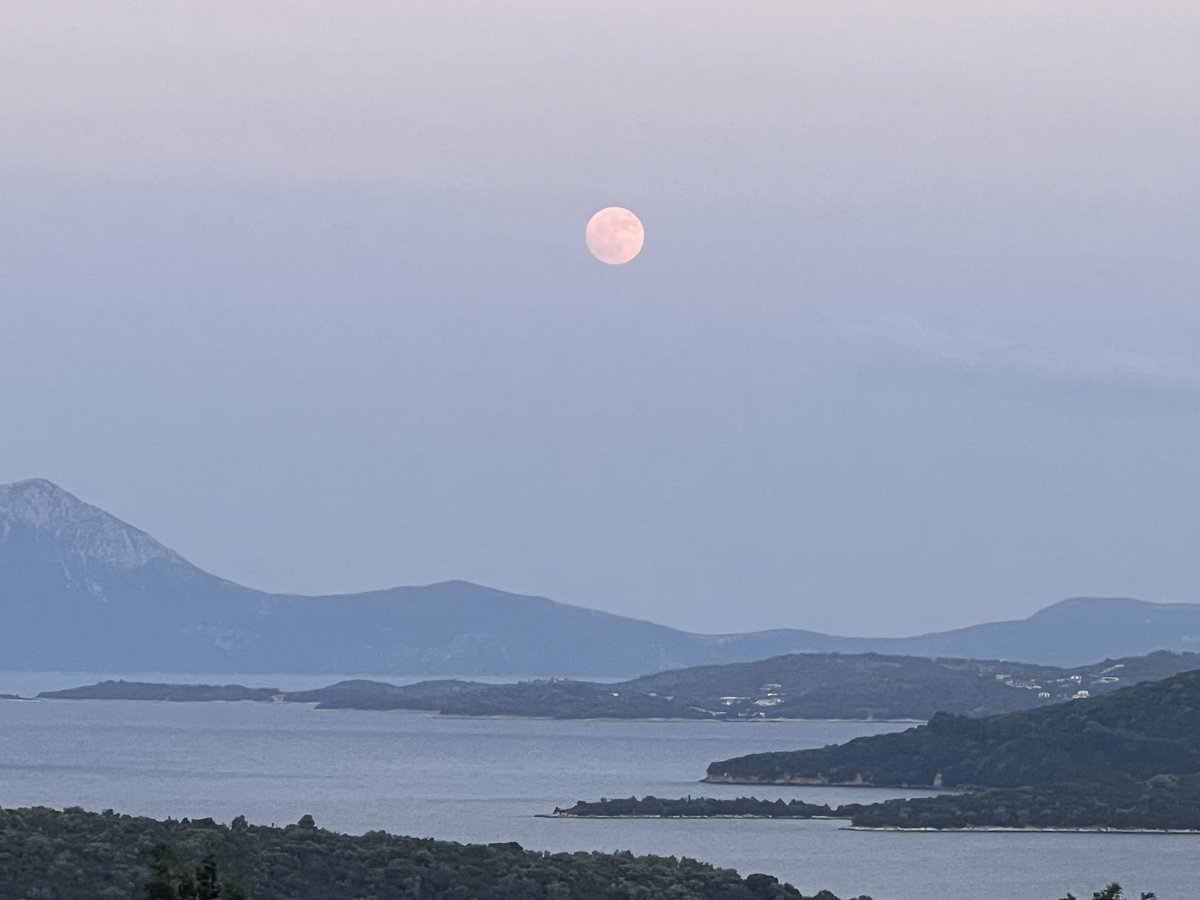 David Green tweet media