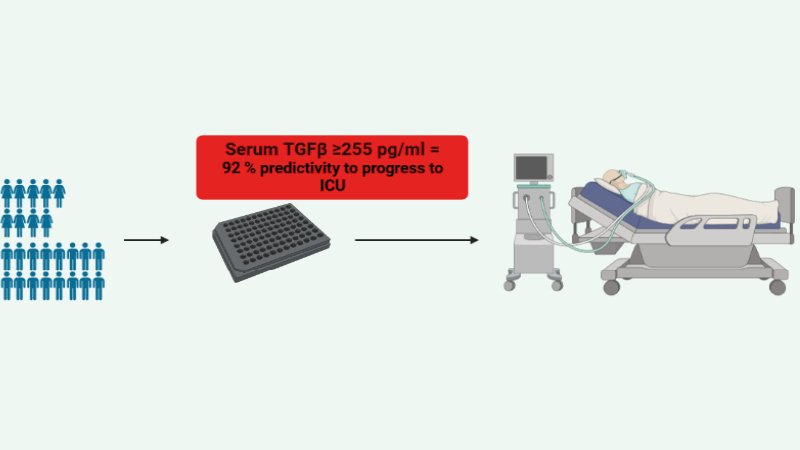 DRFZ (@drfz_berlin) on Twitter photo Scientists from <a href="/Mashreghi_Lab/">Mashreghi_Lab</a> @DRFZ and <a href="/ChariteBerlin/">Charité - Universitätsmedizin Berlin</a> recently published in <a href="/EurJImmunol/">European Journal of Immunology</a> that the cytokine TGF-β can be used as a biomarker to predict the severity of COVID-19 progression during the early stages of SARS-CoV-2 infection. bit.ly/3CUX3Kb Scientists from <a href="/Mashreghi_Lab/">Mashreghi_Lab</a> @DRFZ and <a href="/ChariteBerlin/">Charité - Universitätsmedizin Berlin</a> recently published in <a href="/EurJImmunol/">European Journal of Immunology</a> that the cytokine TGF-β can be used as a biomarker to predict the severity of COVID-19 progression during the early stages of SARS-CoV-2 infection. bit.ly/3CUX3Kb