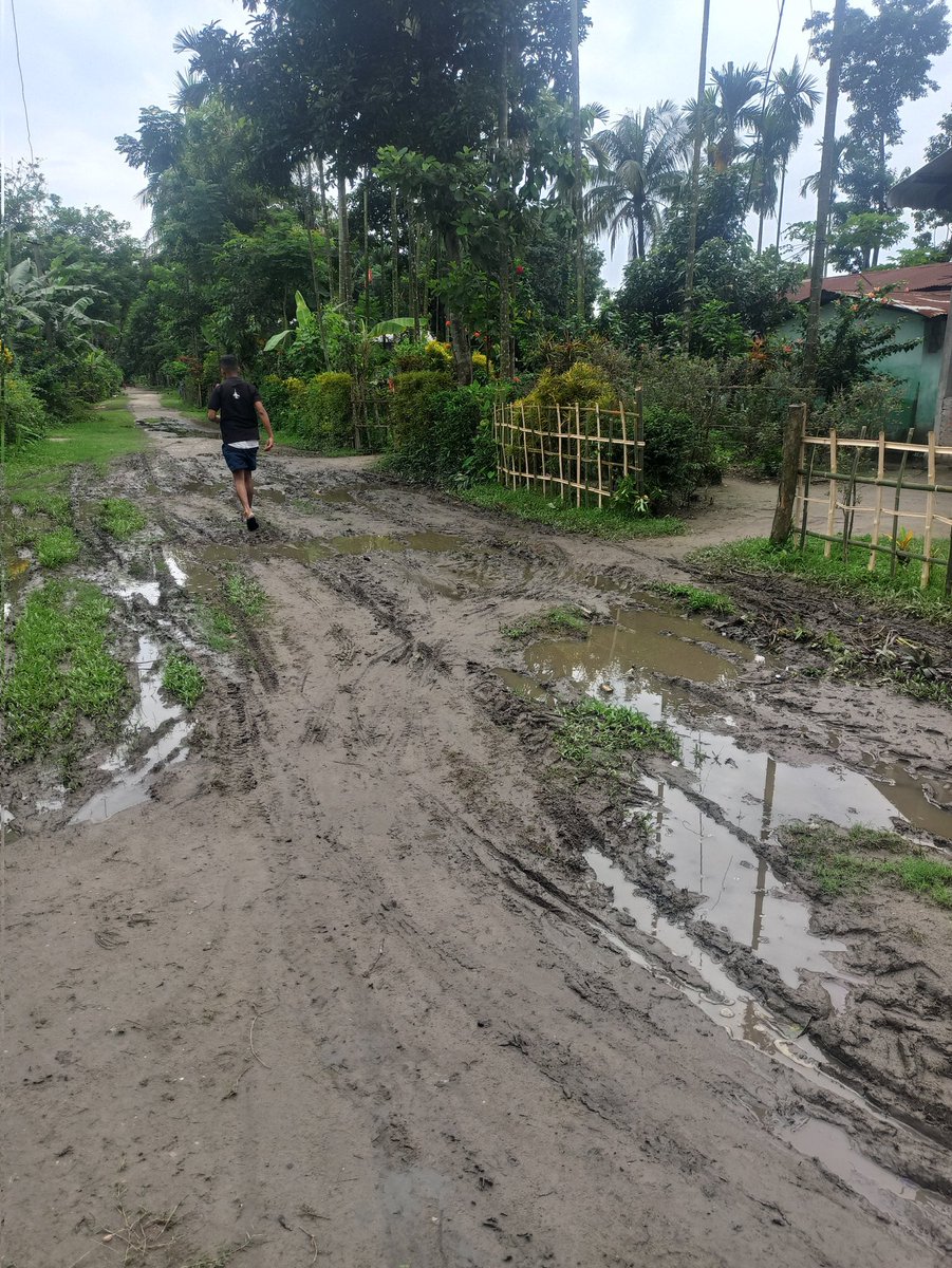 SankarC79933057's tweet photo. Dear Chief Minister @CMOfficeAssam, @himantabiswa, We, the residents of Bhalukjarani, Tezpur, urgently seek your help regarding the dilapidated non-metallic road in our village. This road's condition is causing great inconvenience and hindering transportation. Please intervene. https://t.co/UejKM7MNaU