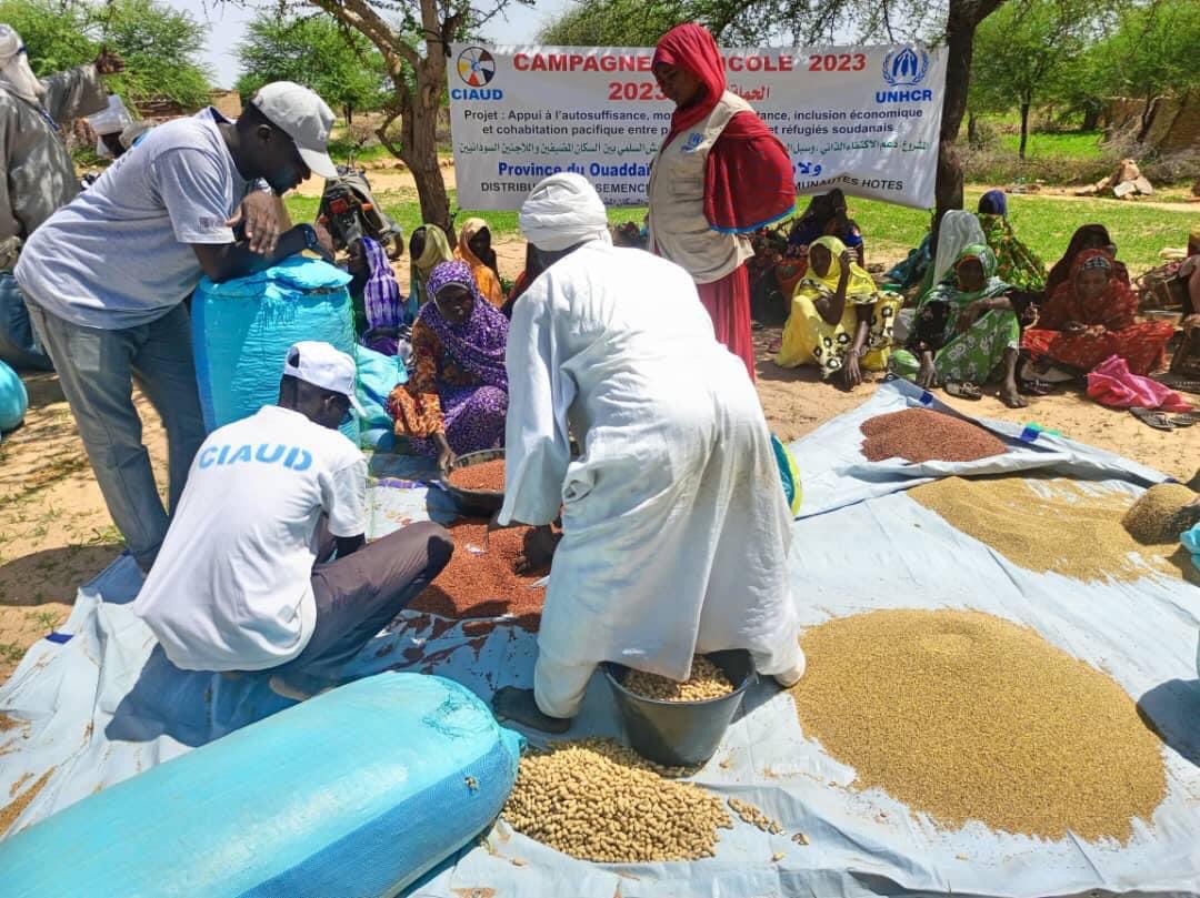 CiaudCanada's tweet photo. CIAUD Tchad 🇹🇩 📍 Province du Ouaddai 

Appui en semences pluviales ( mil, sorgho, arachide) aux autochtones des villages d’opportunité  environnant les camps des réfugiés de Farchana, Breding, Treguine, Gaga, Kouchaguine Moura  dans le Ouaddai
@UnhcrTchad 
@WFP_Chad 
@FaoTchad https://t.co/ym547O38mN