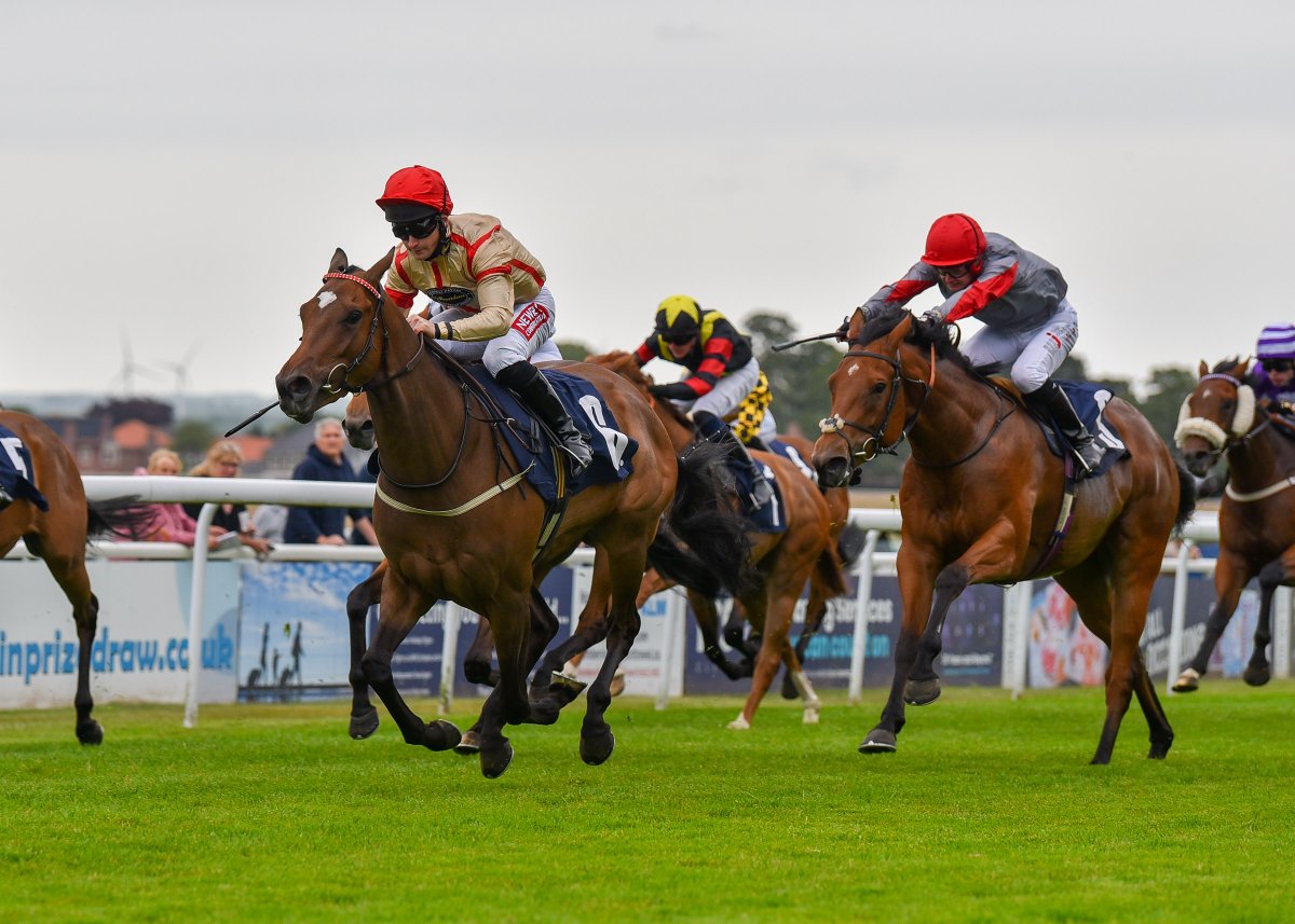 There were 42 #TeamYorkshire trained winners last week, including a double for Rwenearlytheredad. Trained by @declan_carroll and ridden on both occasions by Zak Wheatley (@weeto_10), Rwenearlytheredad won at @Beverley_Races on Tuesday in the GRIY Future Stars Apprentice…