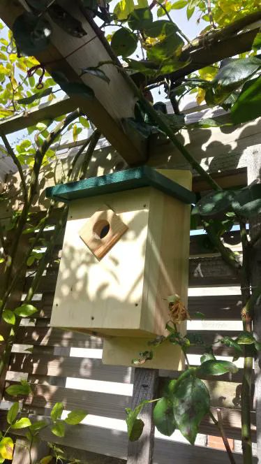 coed_net's tweet photo. Today we welcome -Gweithdy Llwyd y Gwrych @dunnockdesign - Nwyddau concrit a phren o safon, gwnaed â llaw yng Nghymru / Quality timber &amp; concrete goods, handmade in Wales. They make and sell timber furniture, homewares and accessories. They welcome bespoke orders. https://t.co/ylBnfqBXgd