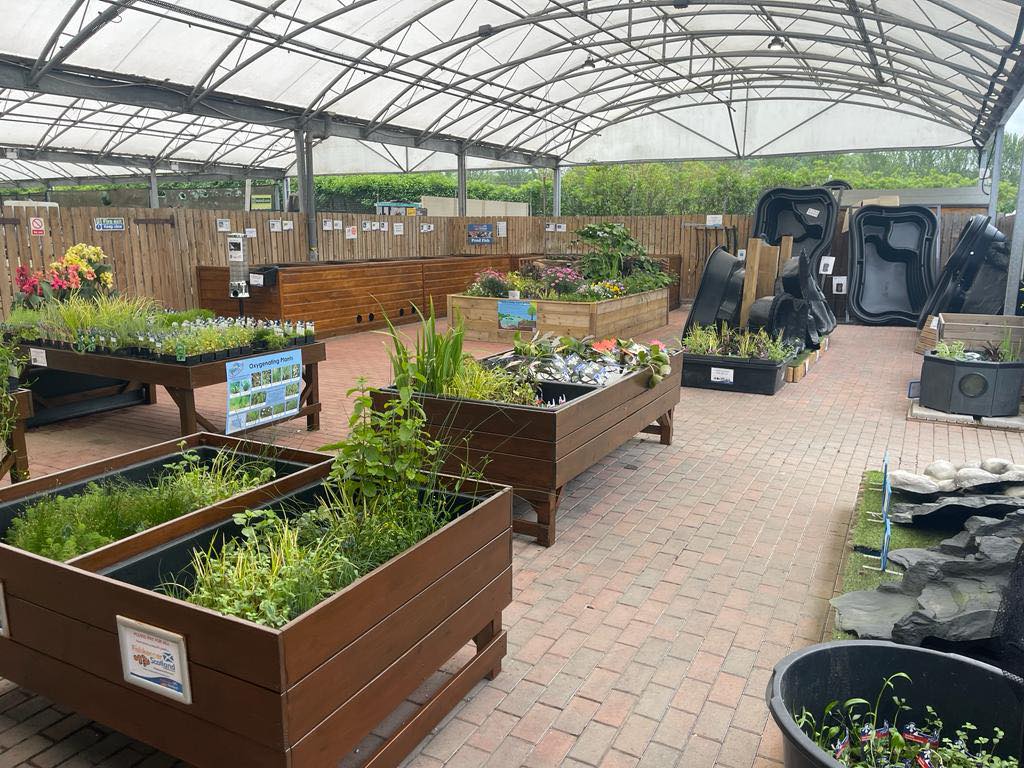 Our pond sections are fully stocked with everything that you will need for your dream pond. From liners to pumps, plants to fish, we've got you covered! 💦🌱