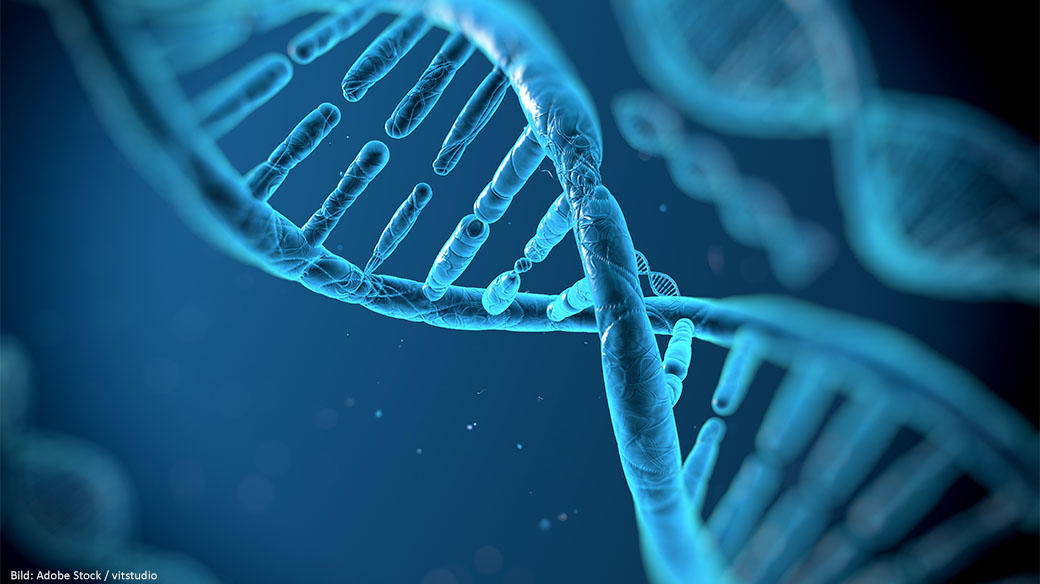 Leopoldina's tweet photo. #Genomeediting makes it possible to modify hereditary characteristics of crops easily and precisely and to expand the possibilities of #plant breeding. How do the #genescissors work in detail? An overview of methods: https://t.co/V5Mfviw5QI
#GreenGenEngineering https://t.co/xAdpoxcx1s