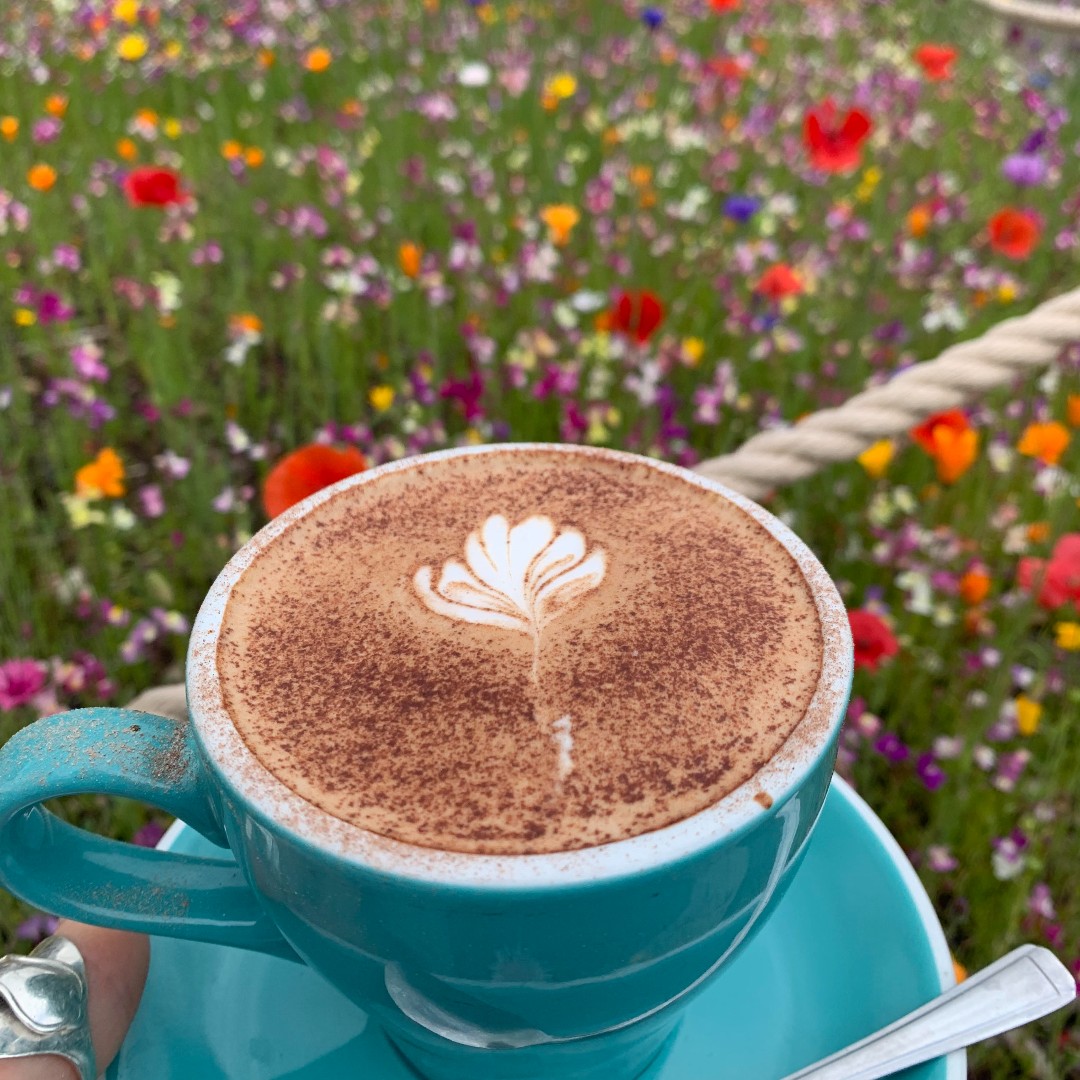 Beauty with a caffeine kick! Come and savour the vibrant colours of wildflowers alongside freshly brewed barista coffee. Your day just got a little brighter! #coffeelove #wildflowers #morningpickmeup #hog&amp;hedge @Cliftoncoffee @floristfromtheforest #localproduce