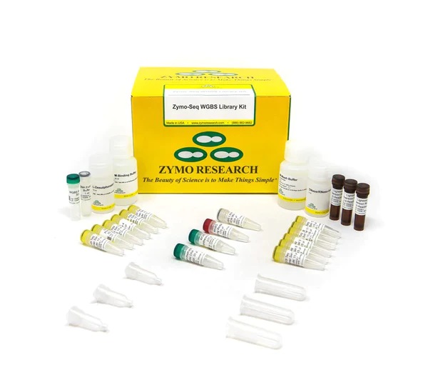 BiolinkkM's tweet photo. WGBS Library Preparation in a Single Tube - https://t.co/fwYLDskHpj https://t.co/UtbBsVM3Ek