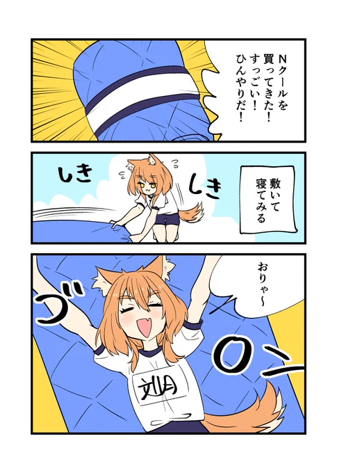 ニトリにNクール買いに行ってきました 