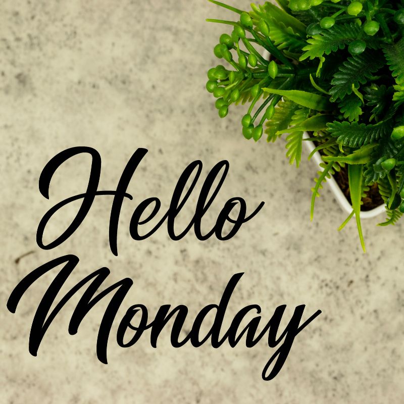 Hello! We are all set for another busy week here at AM Employment Law. We are working on staff handbooks and contracts of employment, settlement agreements, TUPE, assisting with a disciplinary appeal and entering into some without prejudice discussions on behalf of an employee.