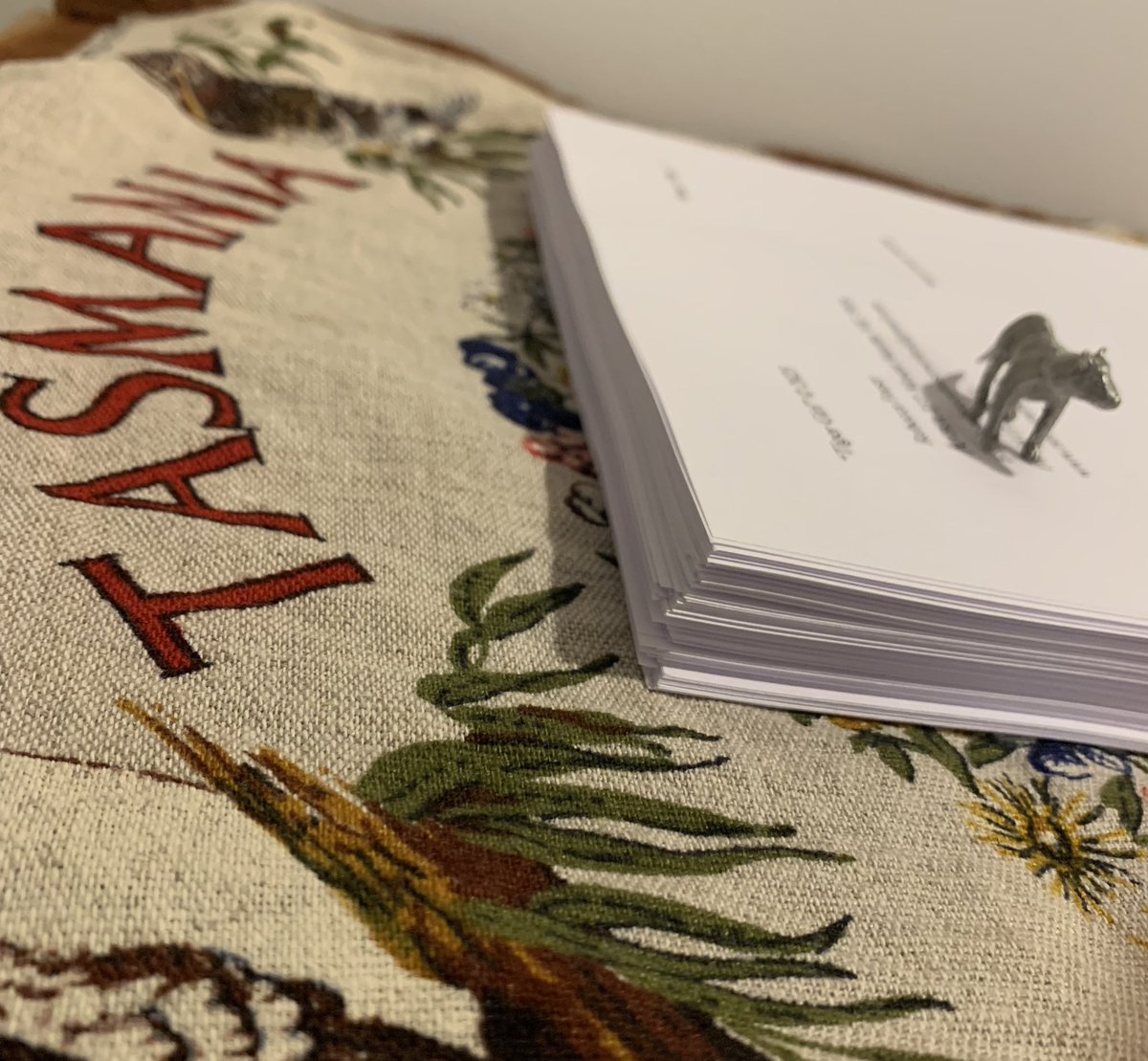 This is what #theend on the current #loveozmg #wip looks like. This book is a love letter to my beloved #tasmania Publishers, I believe in this story, I’m putting in the polish, and I’ll be knocking on your door soon!
#tigergirl #thylacine #tasmaniantiger #thriller #eco #survival