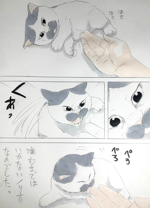 まいにちノリ吉 