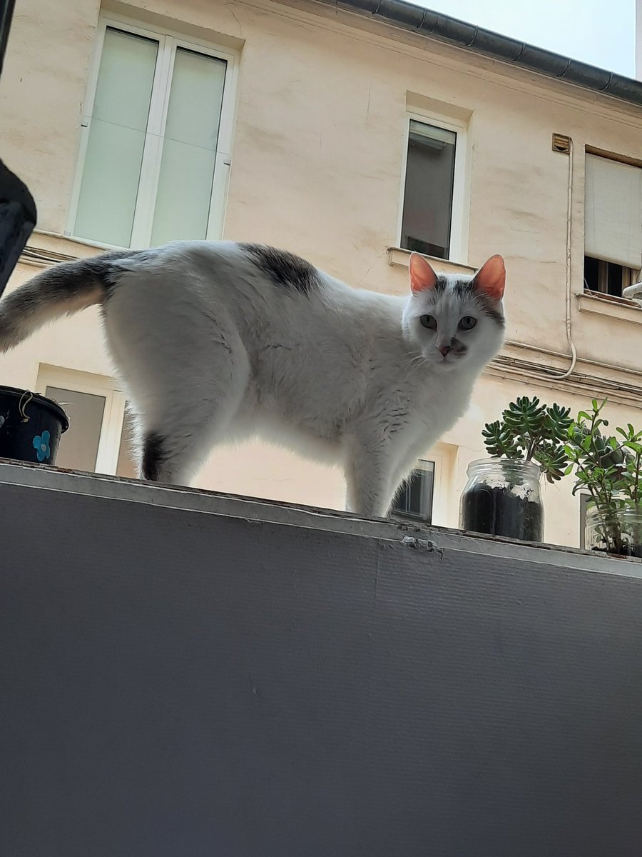 Mossieur la blouse a dit "il est vraiment très beau on peut même le dire et le redire plusieurs fois, qu'est-ce qu'il est beau". 
Du coup ch'ai pardonné la piquouze. Aussi il a dit que ch'ai le droit de manger PLUSSE. Excellente blouse.