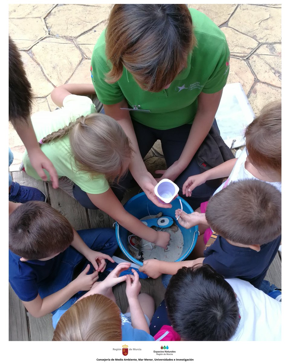 ElVallePR's tweet image. Hay fauna que ingresa en el #CRFS por problemas relacionados con el #Plástico 🦩 🐢
A través de la #EducaciónAmbiental el #ServicioDeInformación de #ElVallePR da visión sobre el impacto y peligros que genera #DíaSinBolsasDePlástico #CeroPlásticos #Sensibilización