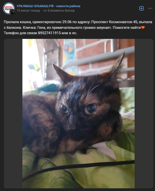 _badwoolf's tweet photo. RU: Дорогие мью, прошу рт.
У моей подруги потерялась кошечка. Вся информация на скрине. г. Екатеринбург, р-н Уралмаш. https://t.co/oaLg1L3ywy