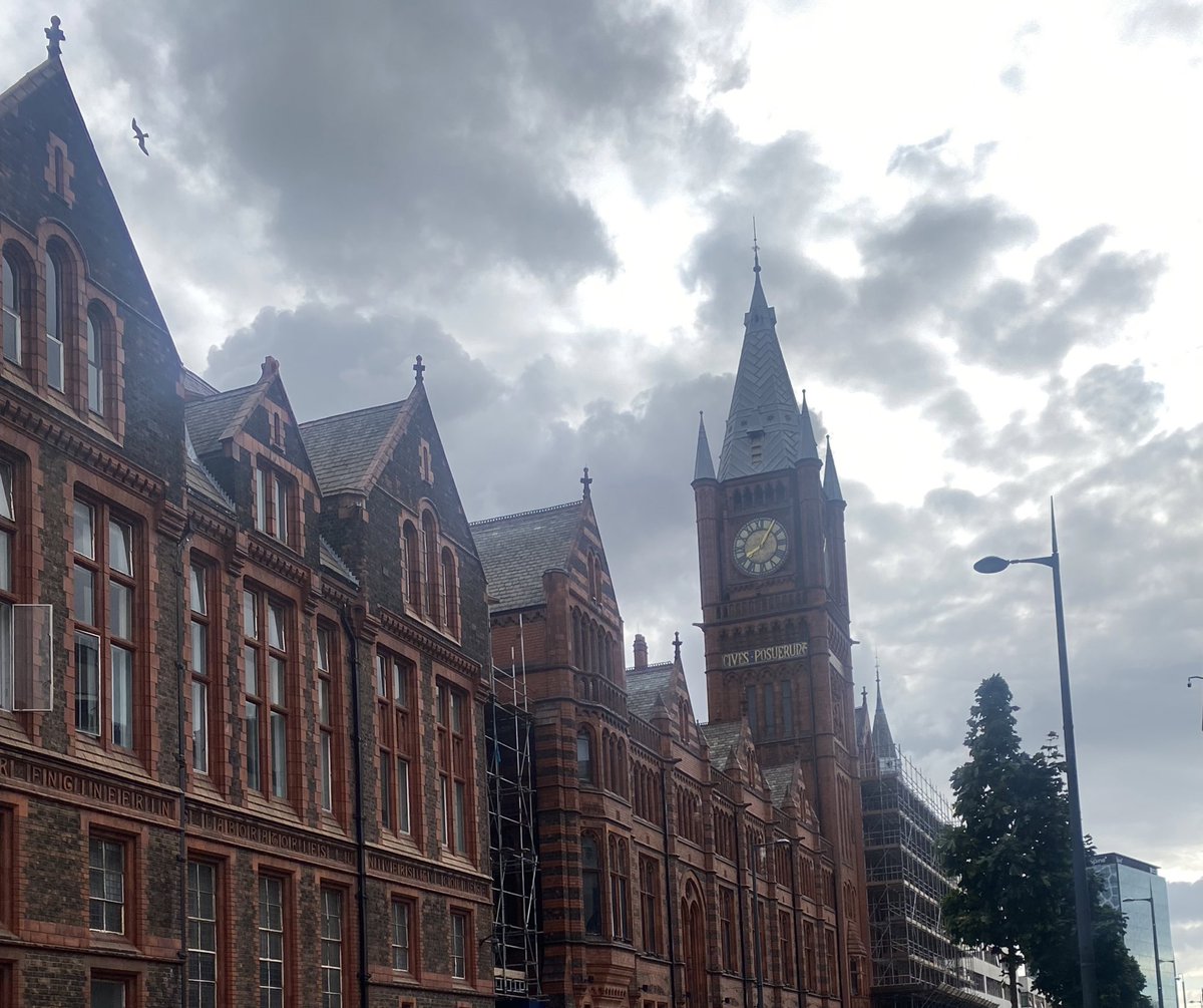 stef_books's tweet photo. As of today, I am a Researcher Developer (Research Staff) @LivUniAcademy. I will be working long term on @ProsperPostdoc 

@OfficialUoM has been my home for the past almost-8 years and it’s been a great ride. But as usual, I am ready for new adventures! https://t.co/4tOYg5nxBw