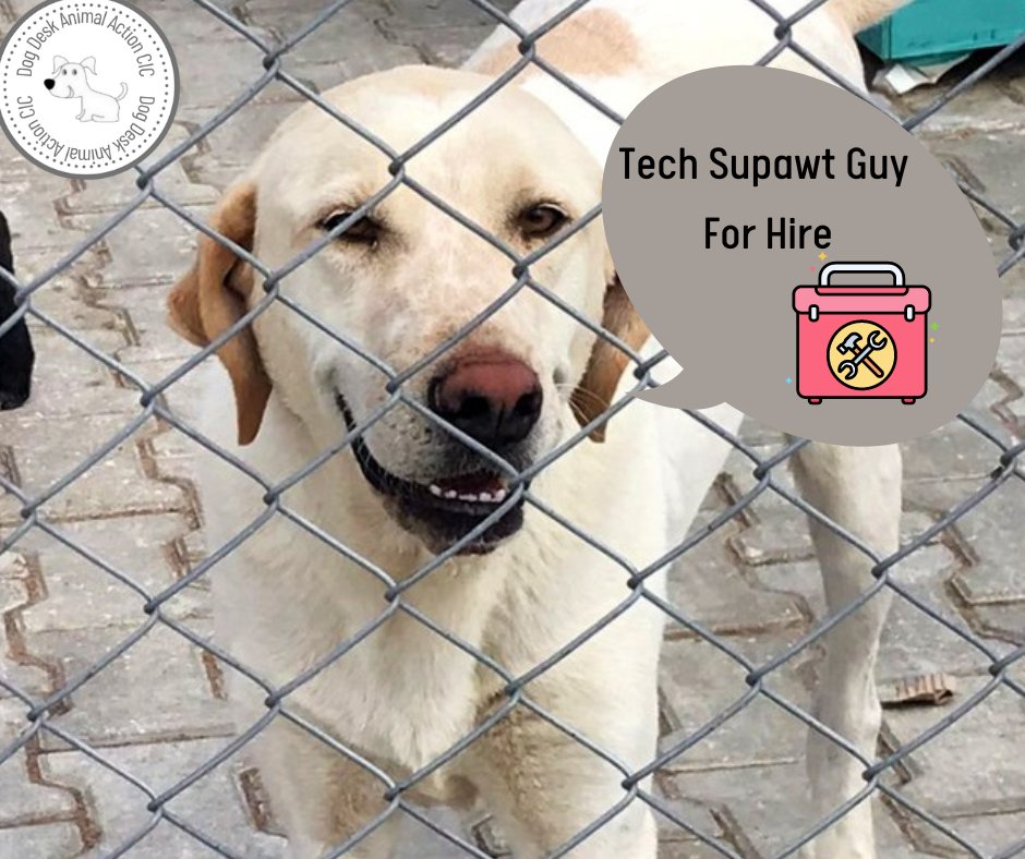 DogDeskAction's tweet photo. The carpenter is concerned that #dogsoftwitter can't see him & his friends due to #LimitExceeded @elonmusk
If you need a helping paw he's happy to down tools on his hut remodelling
He's human friendly & works for sausages
#RIPTwitter #RateLimitExceeded #TwitterLimits #rescuedogs
