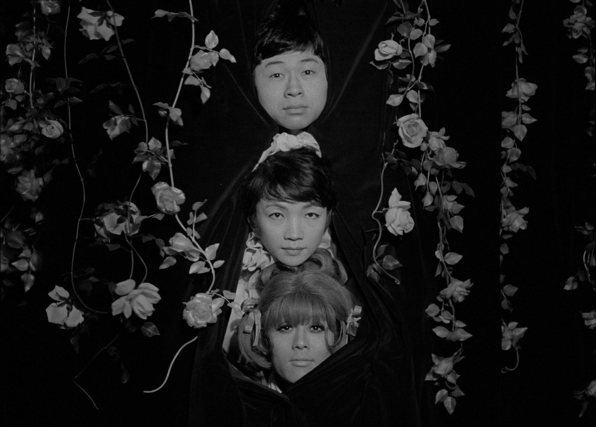 Funeral Parade of Roses (薔薇の葬列) - Toshio Matsumoto (1969)

#JapaneseCinema #JapaneseNewWave #ExperimentalCinema #Œdipe #LesFunéraillesDesRoses