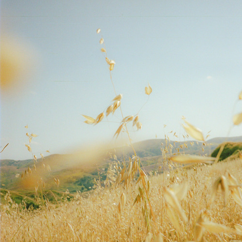 Phonetix tweet media