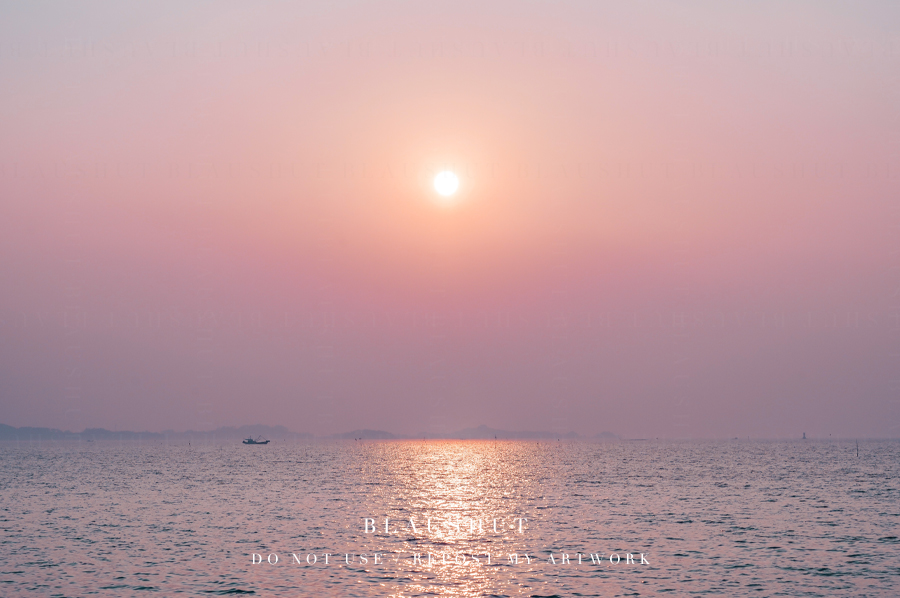 blaushut's tweet photo. pink sea https://t.co/oavBENCx06