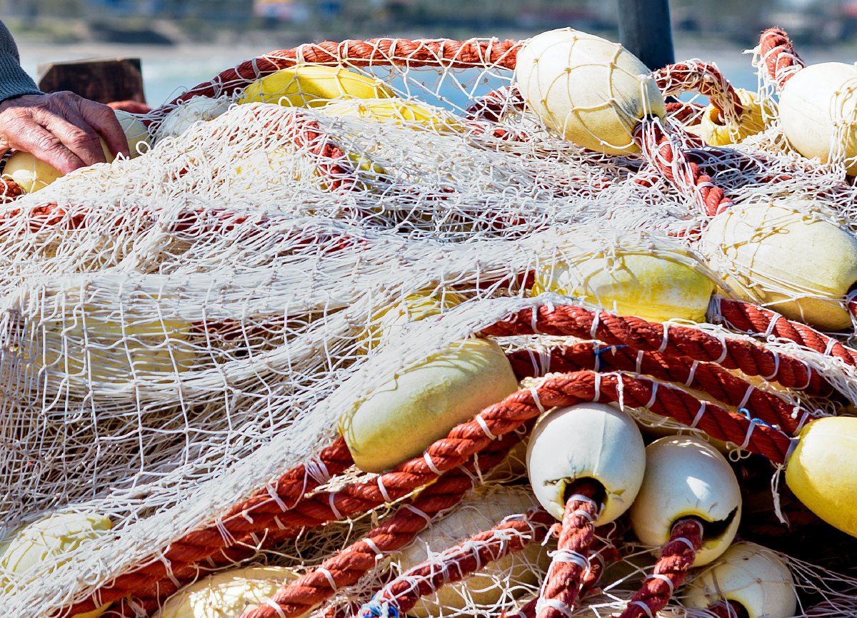 Compartimos con vosotros el escrito comunicado a IFAPA en la reunión celebrada el pasado 28 de junio en Sevilla.
faape.es/reunion-con-if…